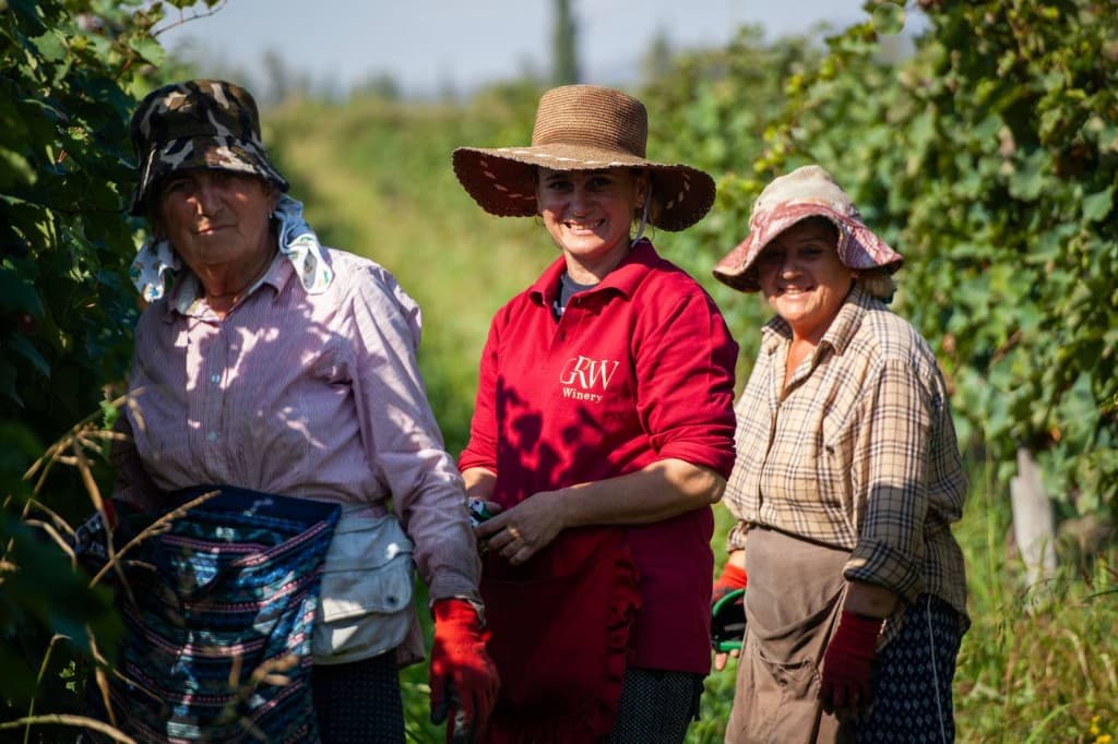 Team in the vineyard